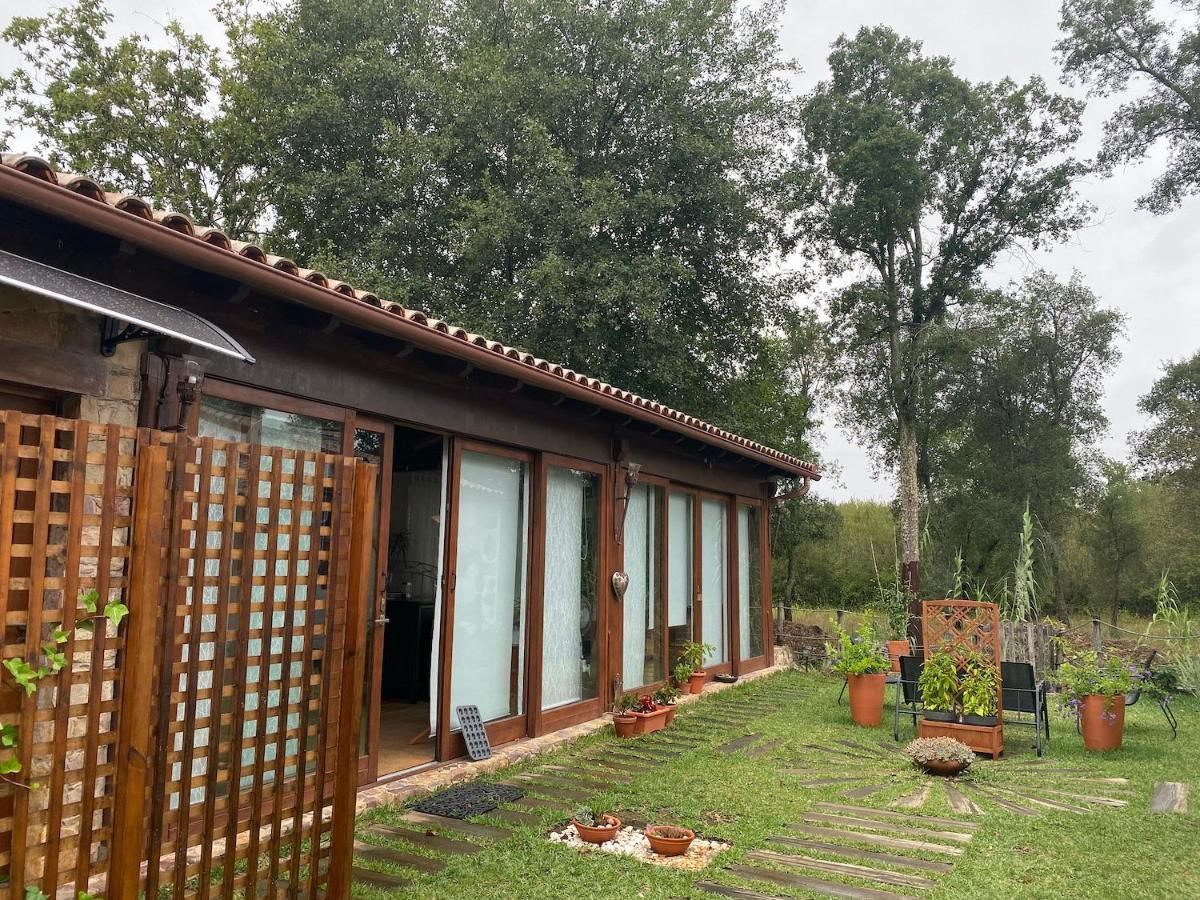 Апартаменты The Old Watermill Retreat - O Retiro Da Azenha Velha Вила-Нова-ди-Пояриш Экстерьер фото